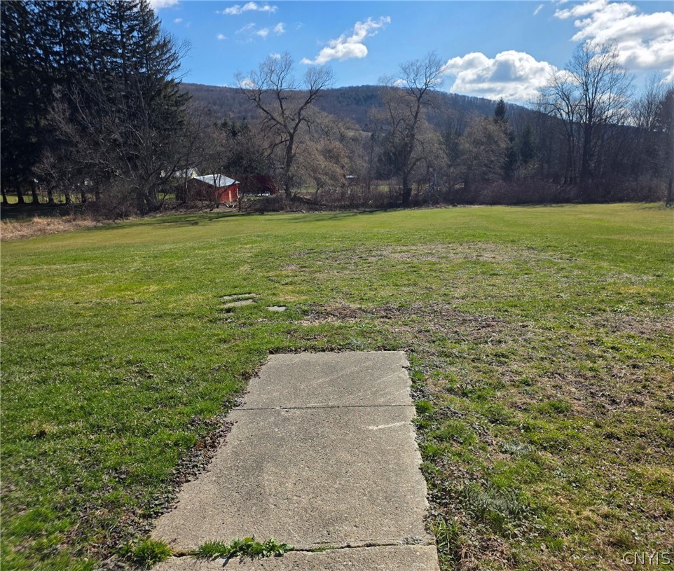 3312 Clute Road Blodgett Mills, NY 13738 - Photo 27 of 31 Back yard