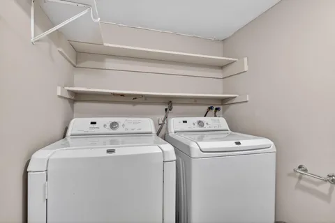 a view of backyard with wooden fence and a large tree