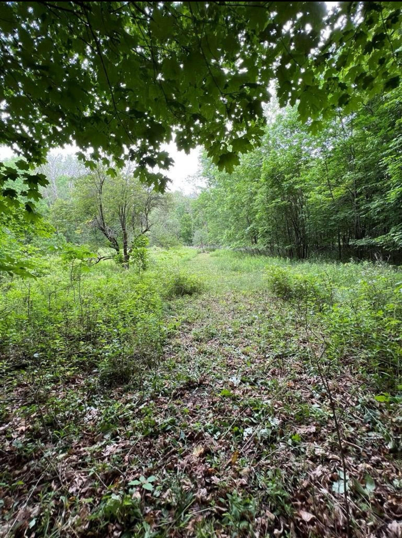 15 Simms Road Chateaugay, NY 12920 - Photo 31 of 35 IMG_1208