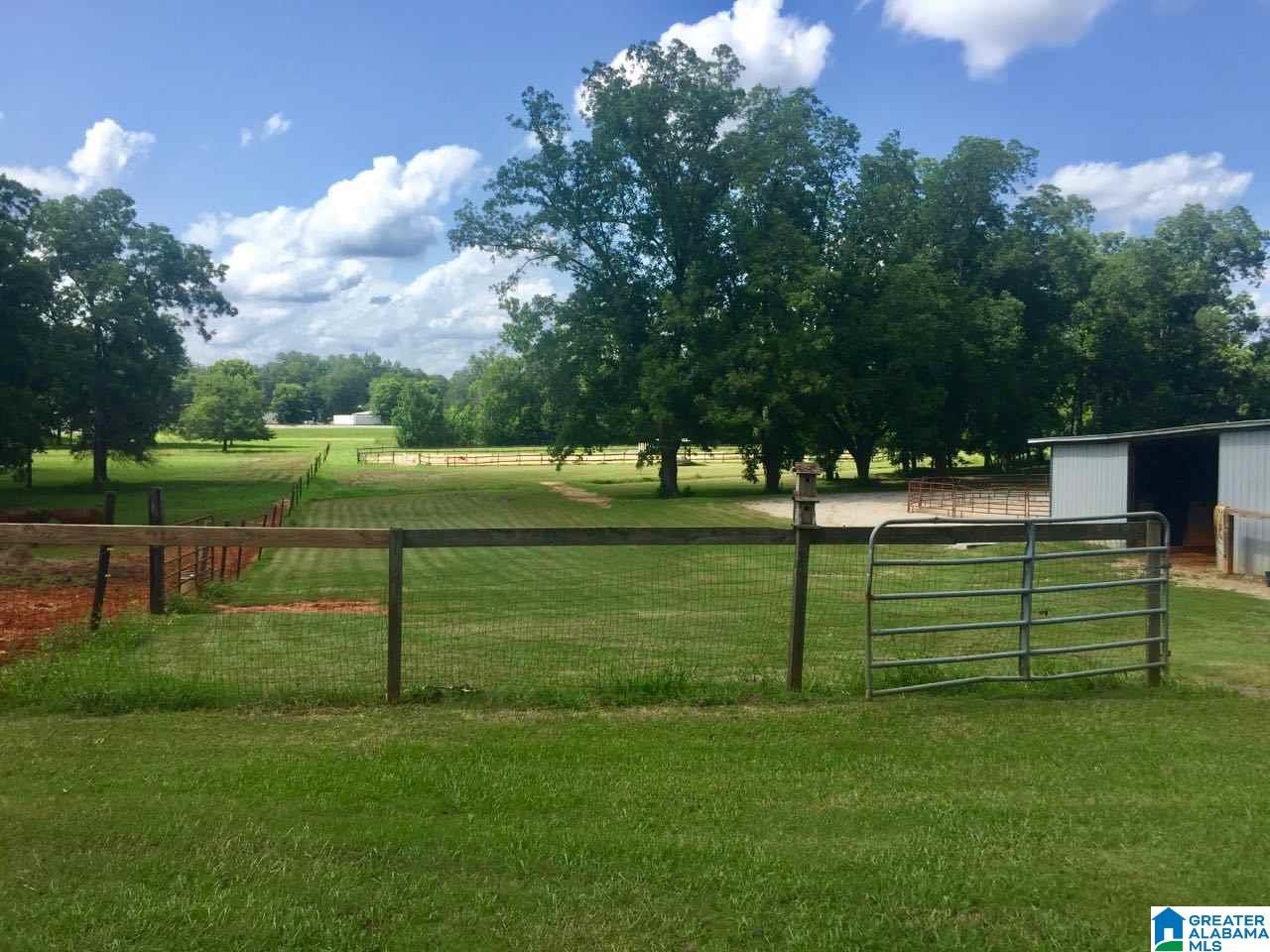 125 Hebb Road Wilsonville, AL 35186 - Photo 34 of 39