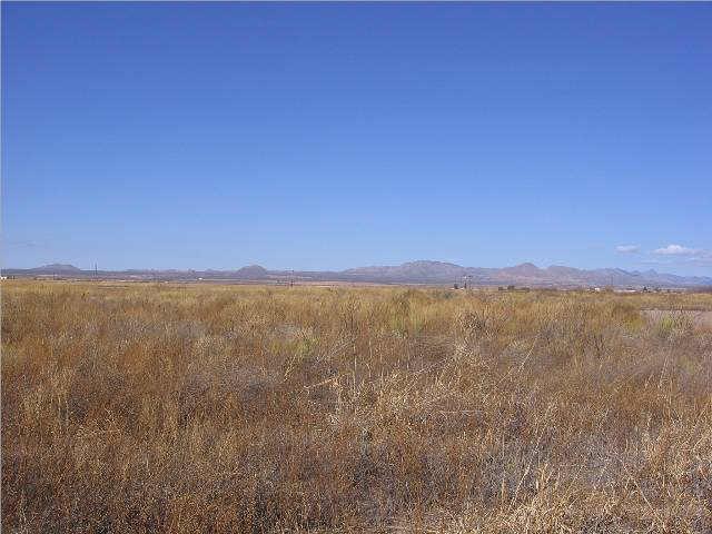 17 West Gleeson Road, Unit 17 Elfrida, AZ 85610 - Photo 1 of 4 Primary Photo