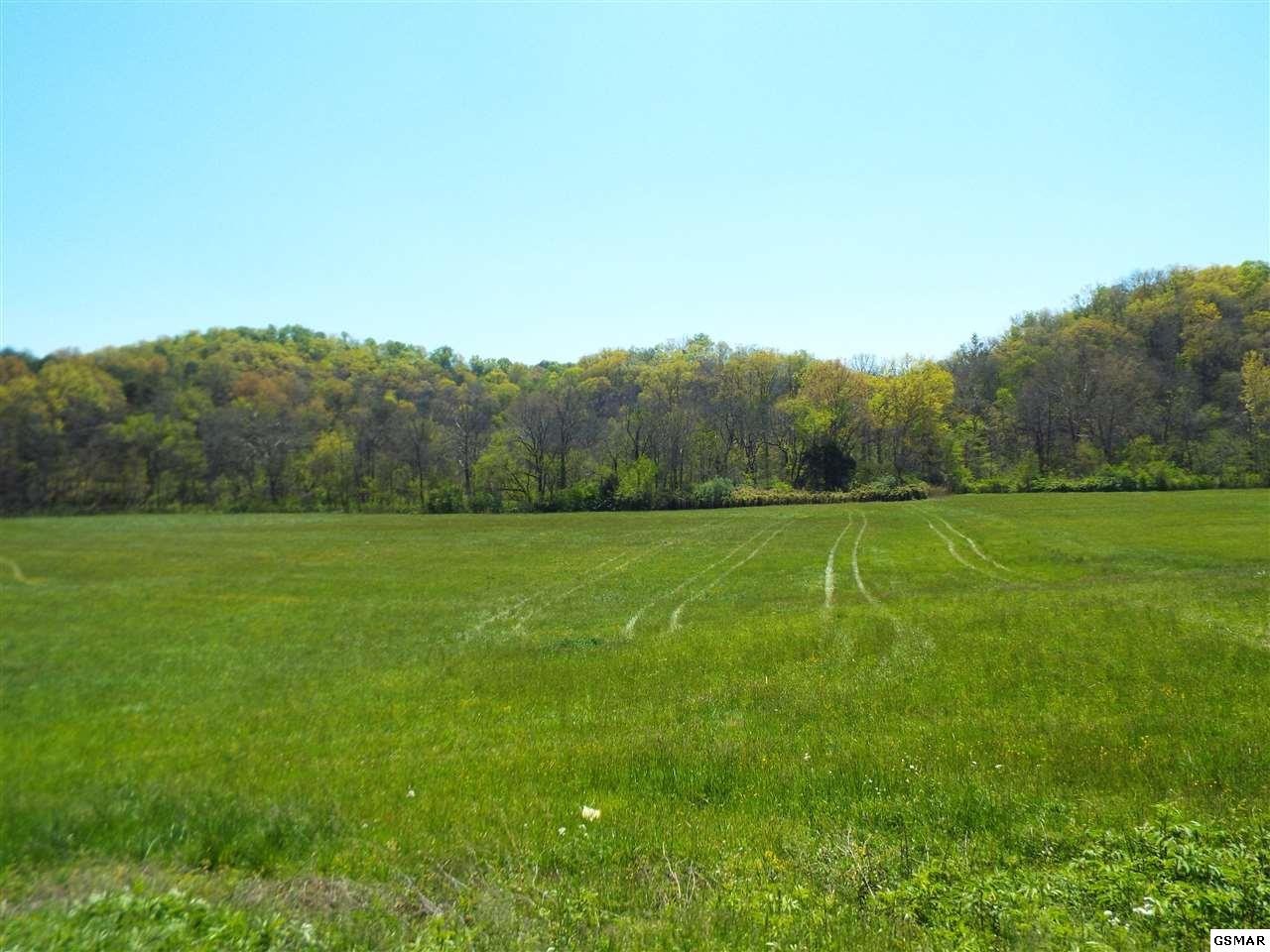 3 Fowler Grove Road Newport, TN 37821 - Photo 1 of 8 Gallery Image 1