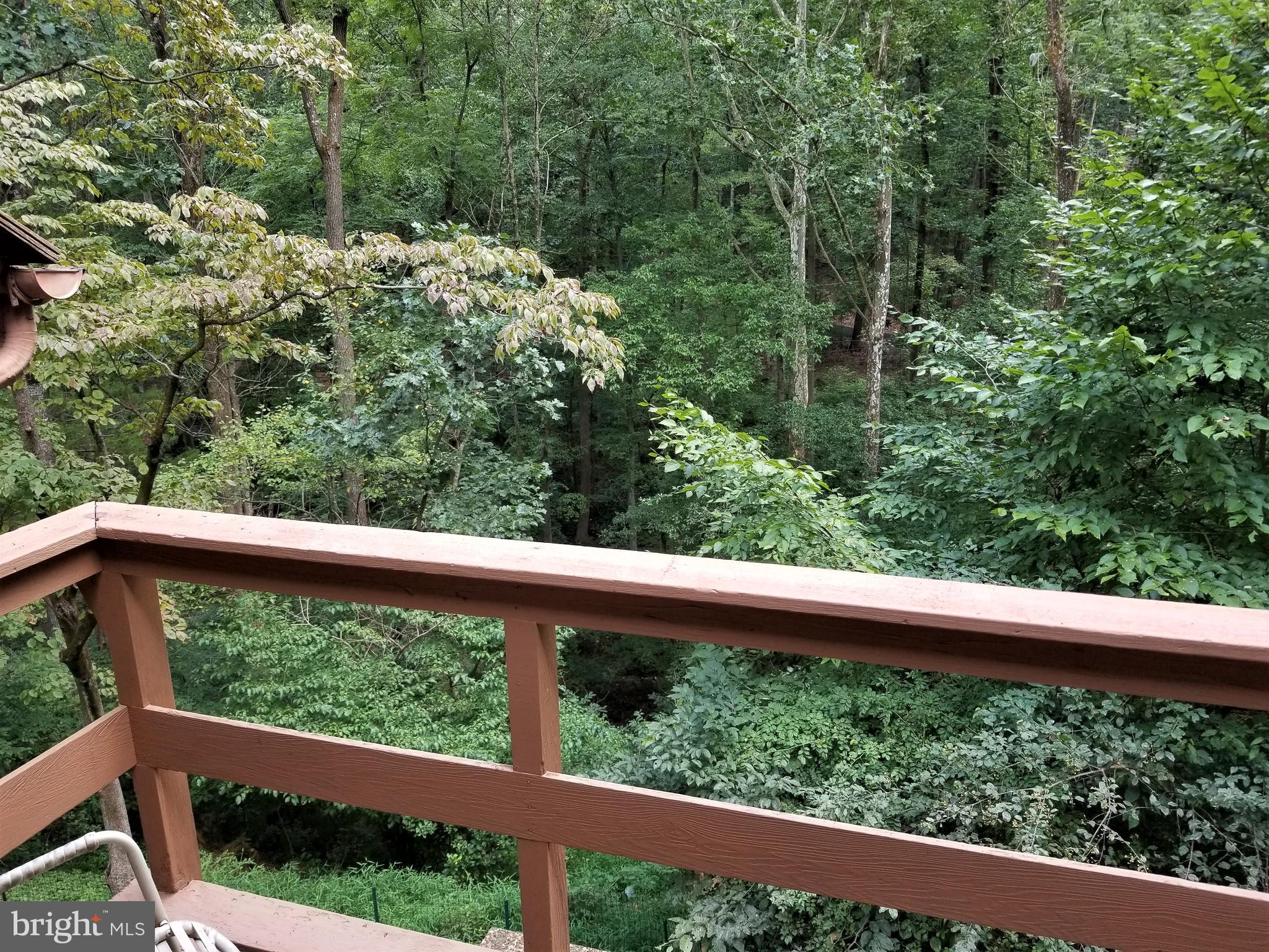 7073 Ely Road New Hope, PA 18938 - Photo 6 of 29
