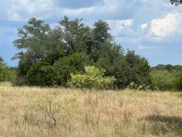 a view of a yard