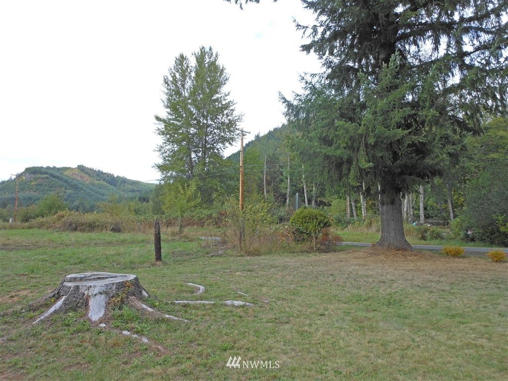 964 Davis Lake Road Morton, WA 98356 - Photo 18 of 24 Gallery Image 18