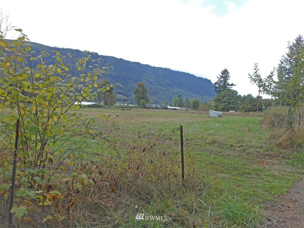 964 Davis Lake Road Morton, WA 98356 - Photo 19 of 24 Gallery Image 19