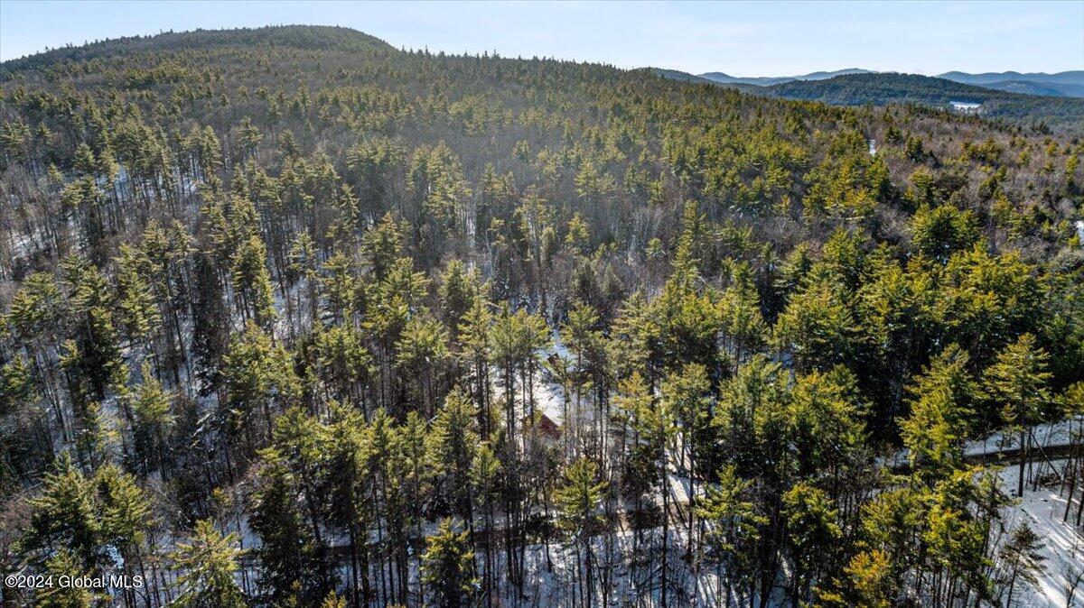 282 Rock Ave Road Chester, NY 12817 - Photo 34 of 35 01-DJI_0729