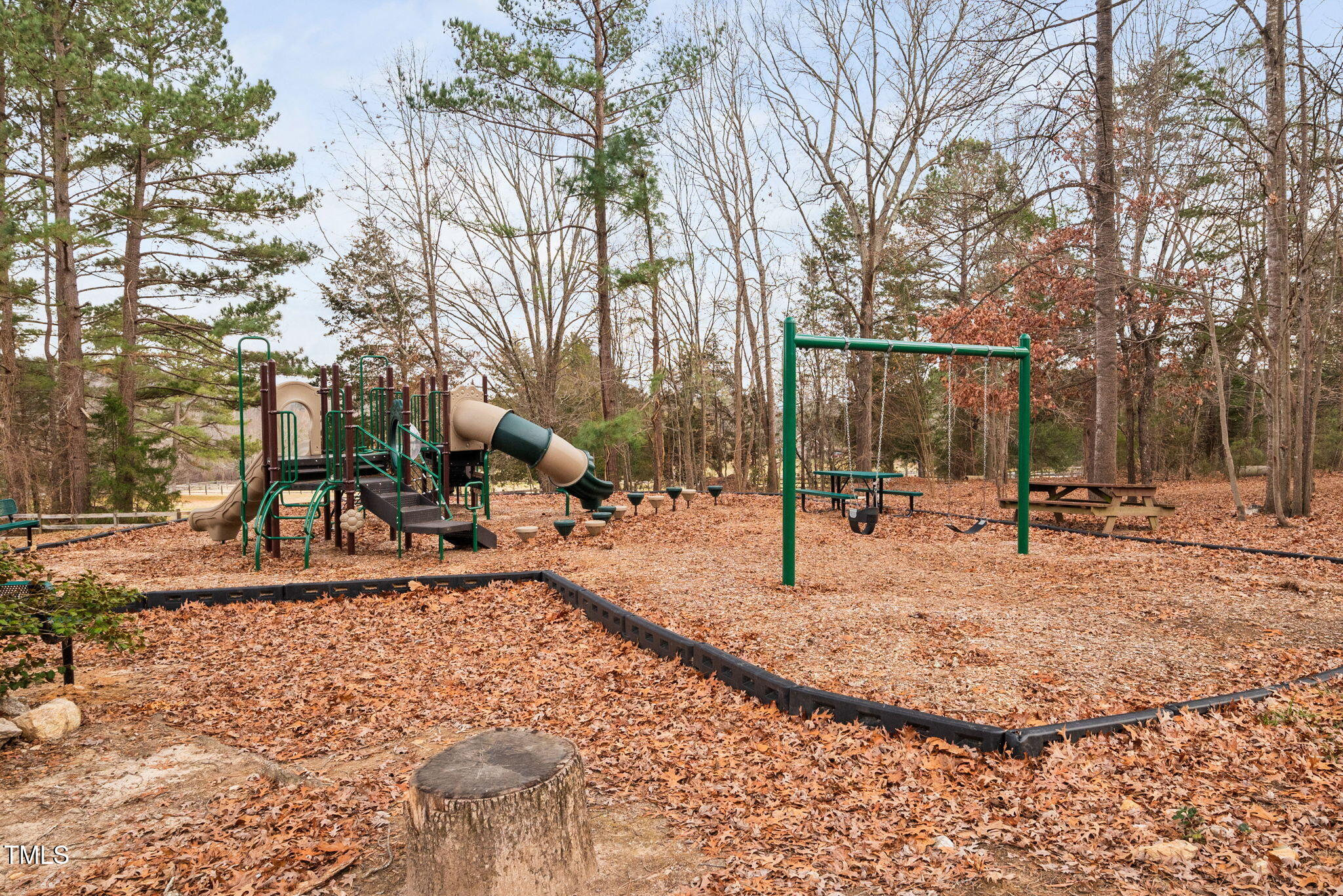 11409 South Lowell Road Bahama, NC 27503 - Photo 49 of 59 Playground