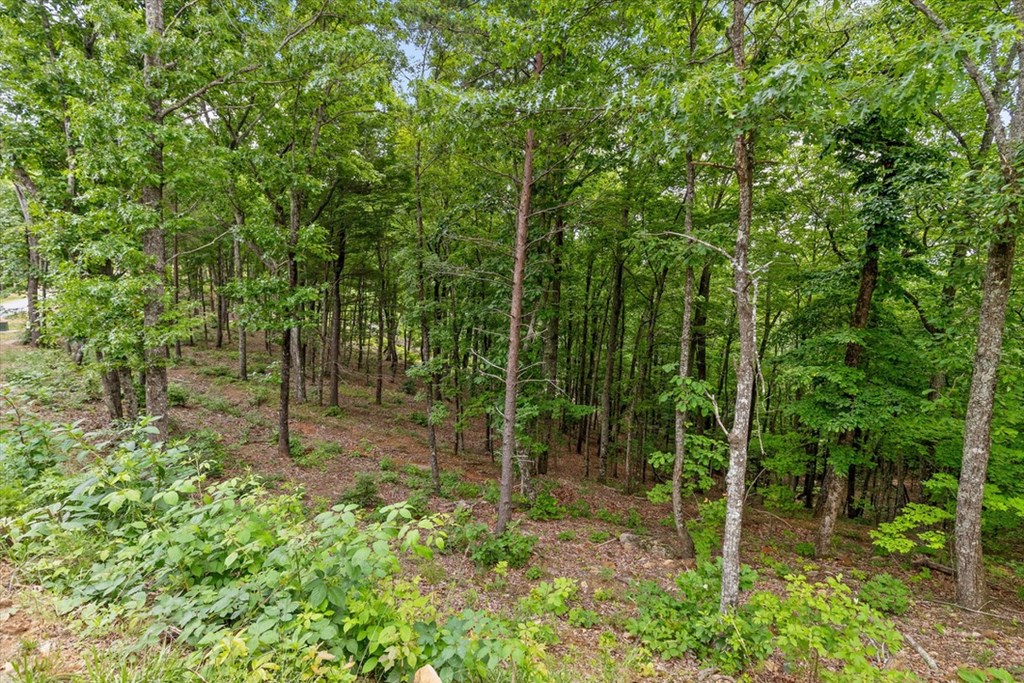 Lot 414 Calloway Mountain Road Talking Rock, GA 30175 - Photo 5 of 25