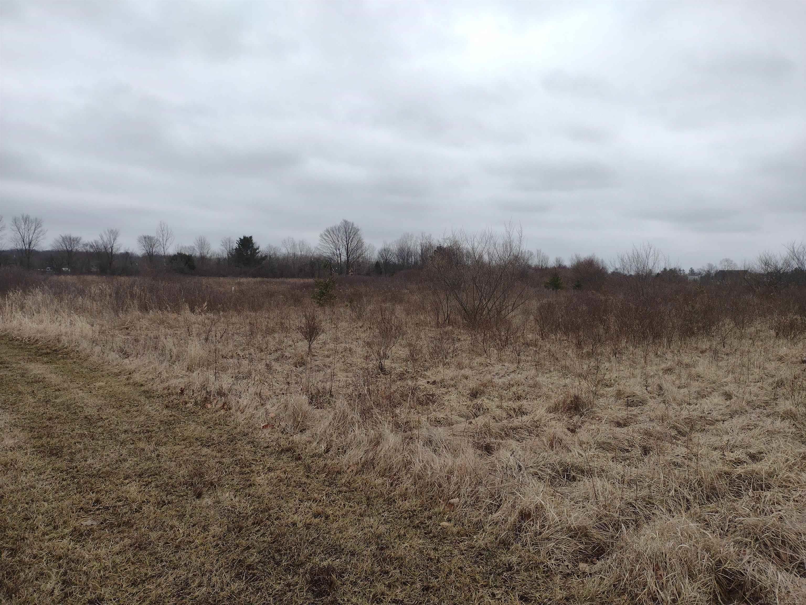 399 Pine Ridge Road St. Clair, MI 48079 - Photo 3 of 4