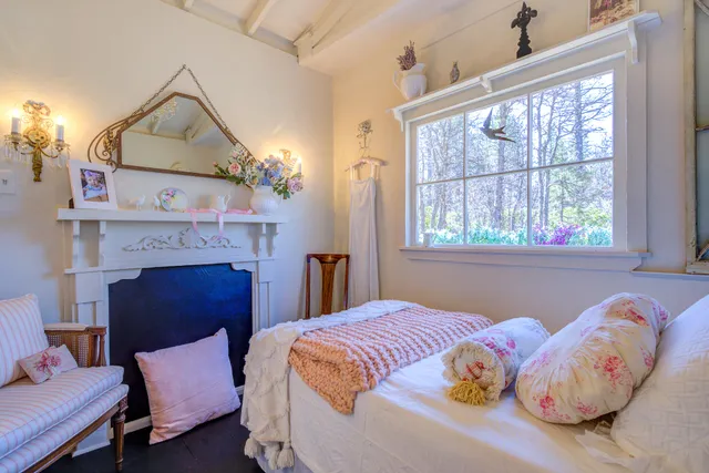 a view of a forest with a mountain