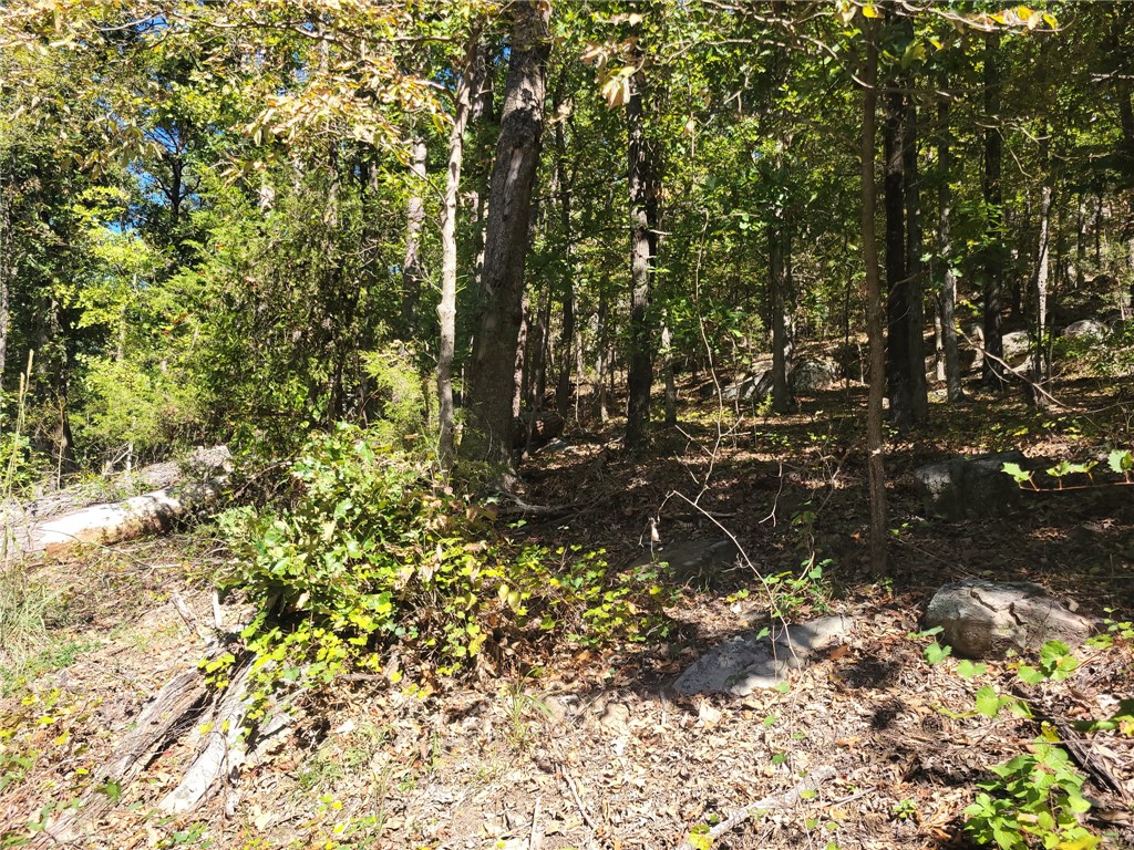 2704 Private Road London, AR 72847 - Photo 4 of 19 Gallery Image 4