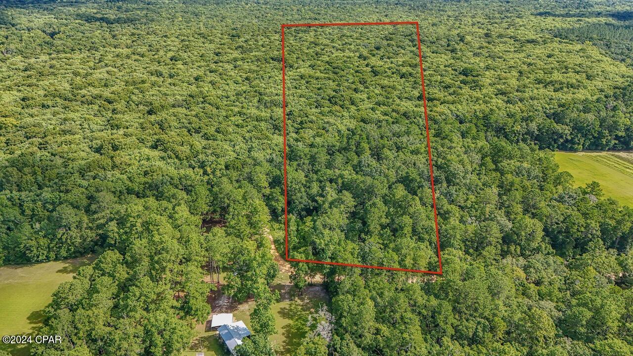 6271 Strickland Road Ebro, FL 32437 - Photo 18 of 26 Gallery Image 18