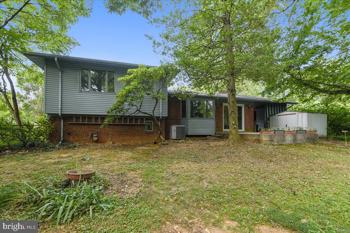 3538 Cornell Road Fairfax, VA 22030 - Photo 15 of 61 Wooded backyard