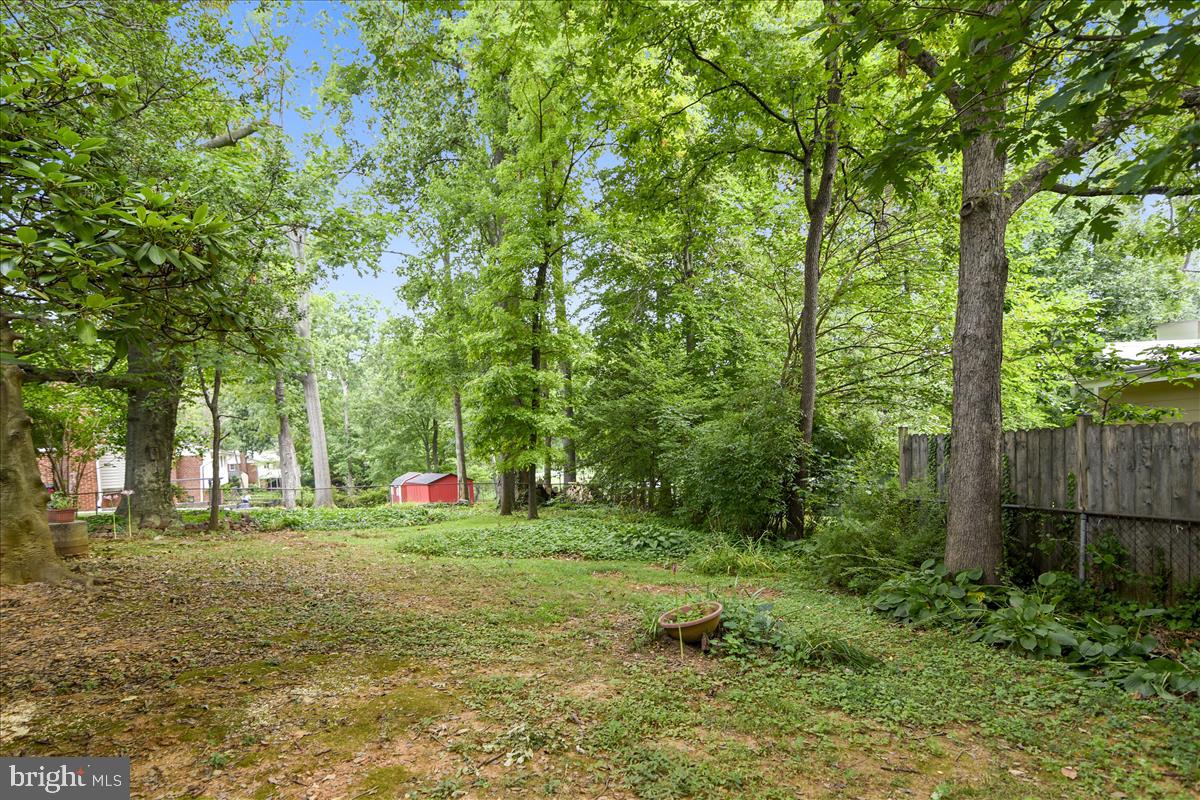 3538 Cornell Road Fairfax, VA 22030 - Photo 16 of 61 Wooded backyard