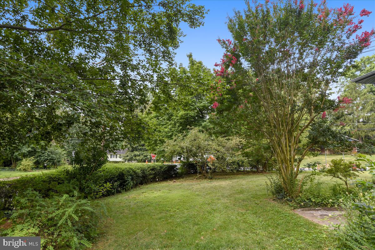 3538 Cornell Road Fairfax, VA 22030 - Photo 17 of 61 Huge Magnolia tree and large corner lot