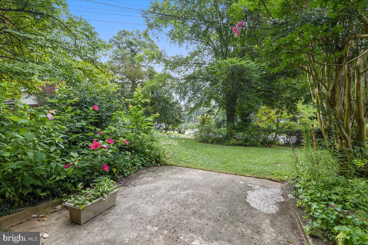 3538 Cornell Road Fairfax, VA 22030 - Photo 10 of 61 Back patio off living room