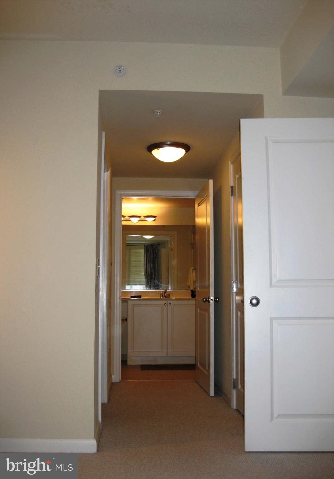 851 North Glebe Road, Unit 1018 Arlington, VA 22203 - Photo 12 of 24 a view of a bathroom with a sink and mirror