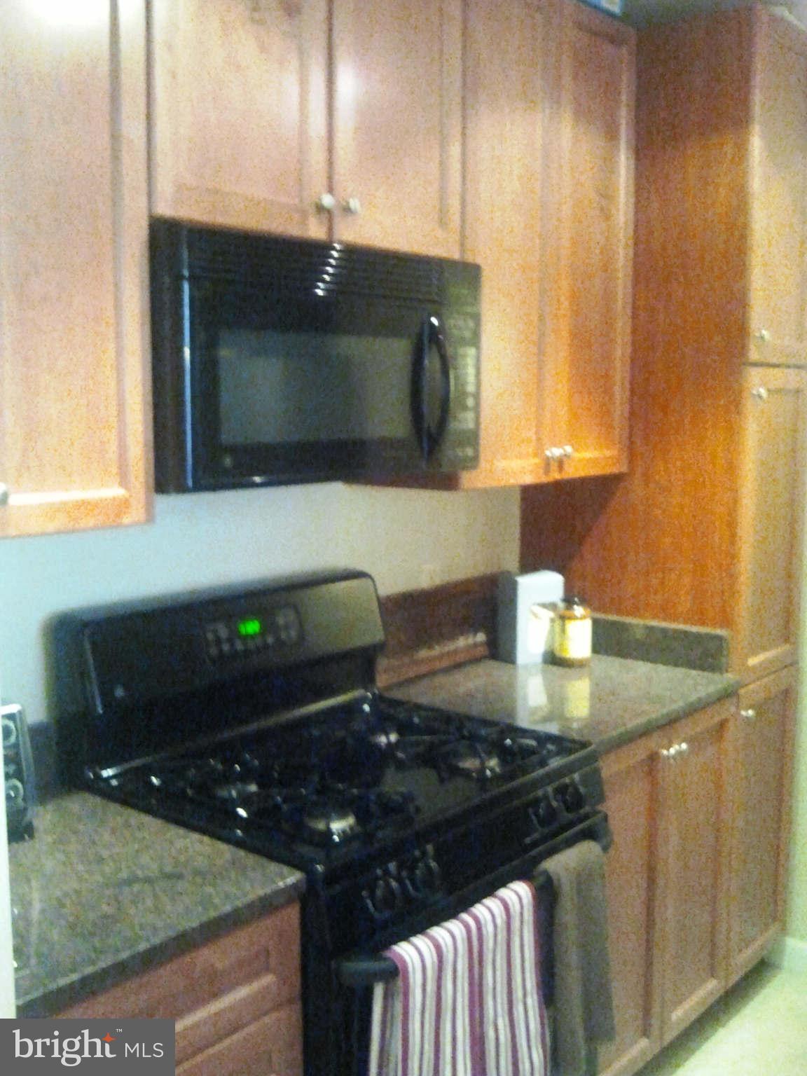 851 North Glebe Road, Unit 1018 Arlington, VA 22203 - Photo 13 of 24 a kitchen with a stove and a sink