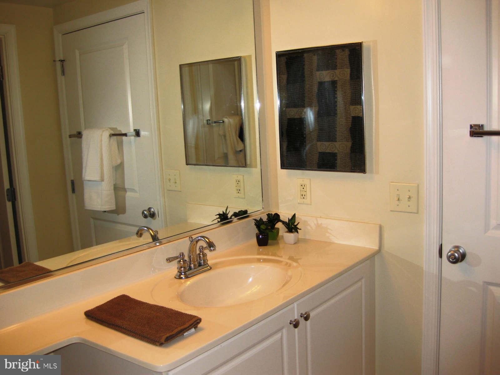 851 North Glebe Road, Unit 1018 Arlington, VA 22203 - Photo 7 of 24 a bathroom with a sink and a mirror