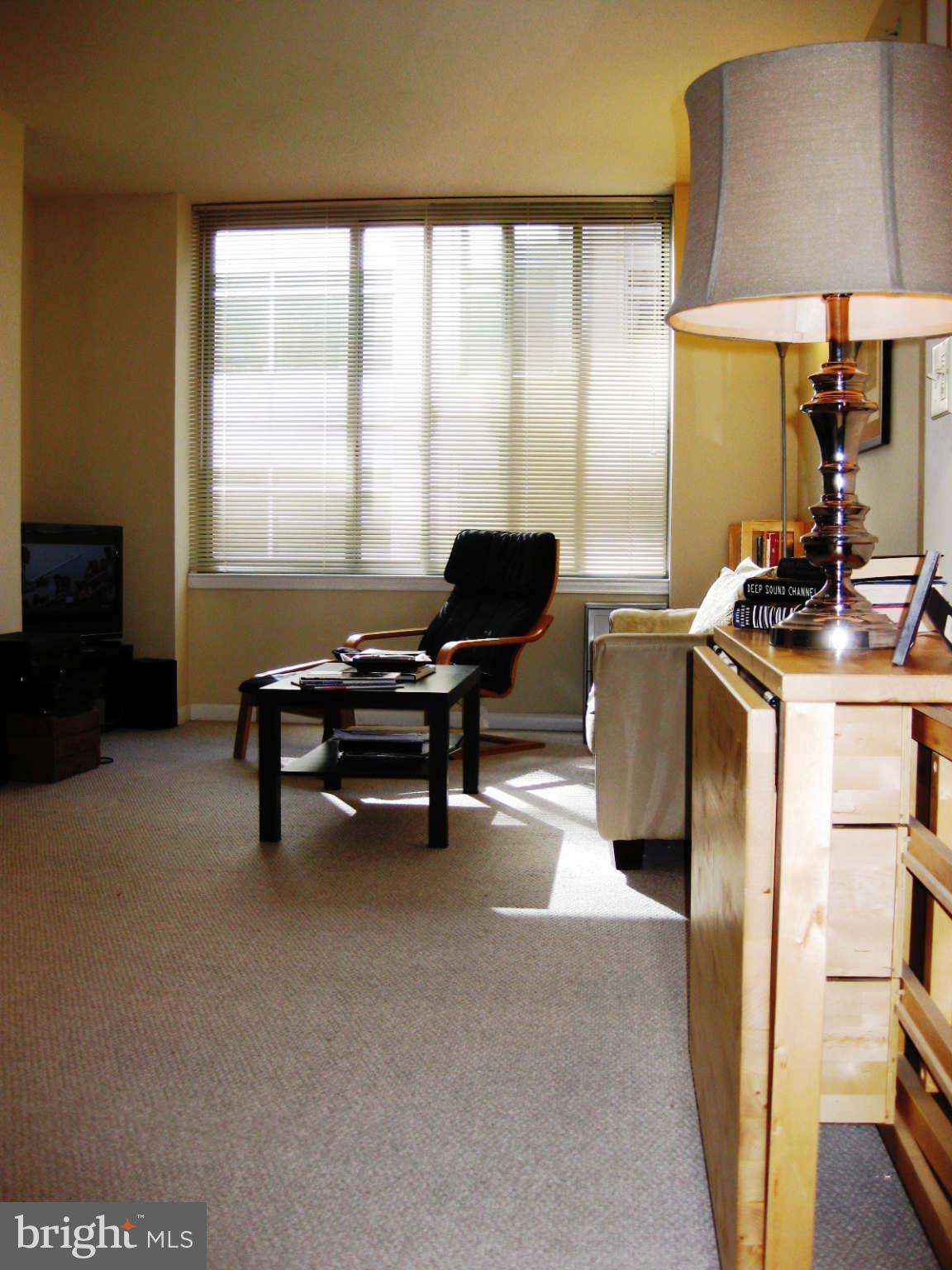 851 North Glebe Road, Unit 1018 Arlington, VA 22203 - Photo 8 of 24 a view of a workspace with furniture and a window