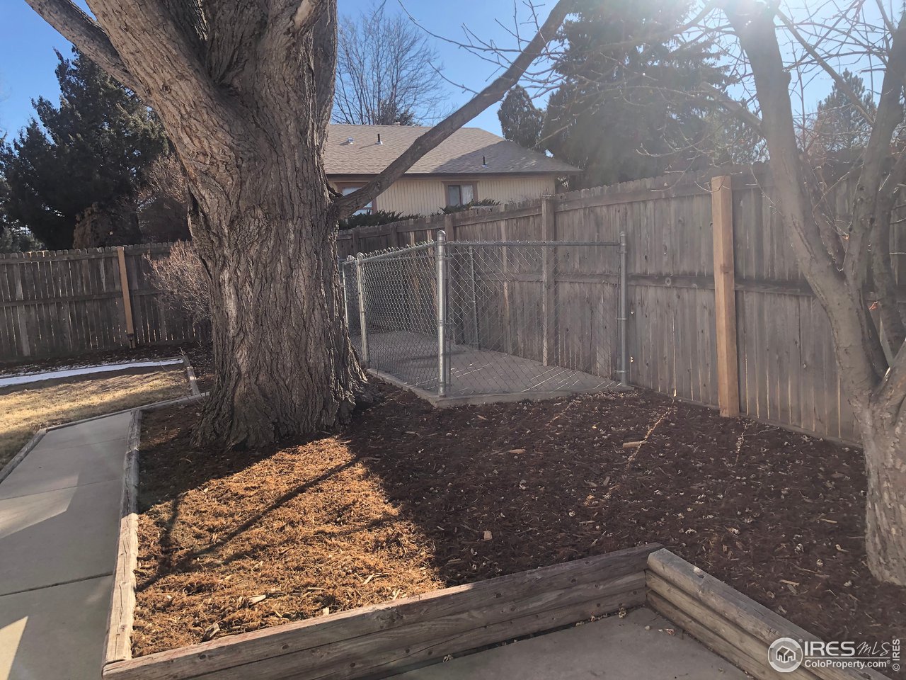 4702 9th St Road Greeley, CO 80634 - Photo 15 of 18 Dog Run