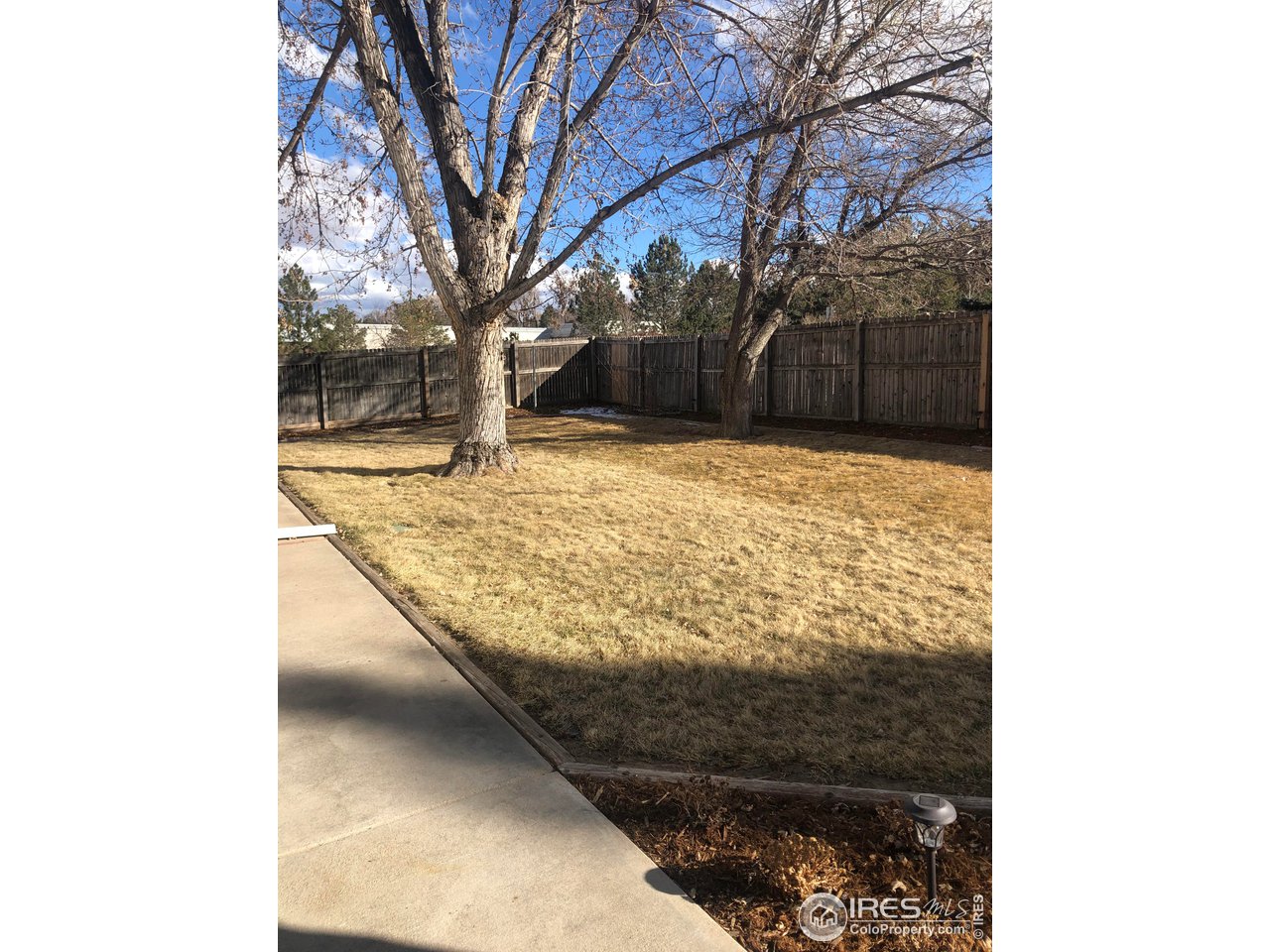 4702 9th St Road Greeley, CO 80634 - Photo 17 of 18 Mature Landscaping