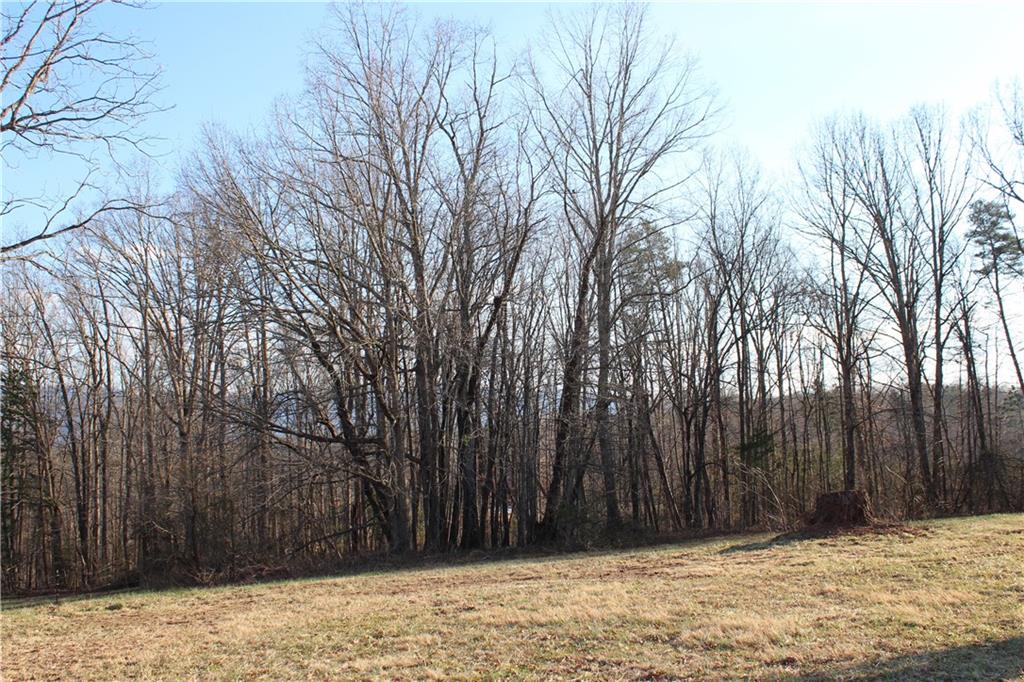 1909 Jamestown Road Morganton, NC 28655 - Photo 11 of 24 Gallery Image 11