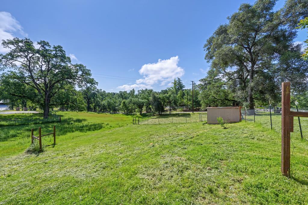 6181 Lambert Lane El Dorado, CA 95623 - Photo 62 of 68 view of yard featuring an outbuilding