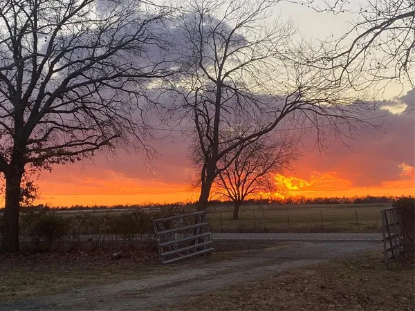 $325,000 | 3751 Farm To Market Road 903, Farmersville, TX 75442