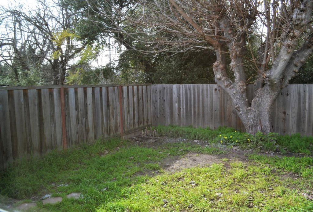 1280 White Drive Santa Clara, CA 95051 - Photo 10 of 10 a view of backyard with wooden fences