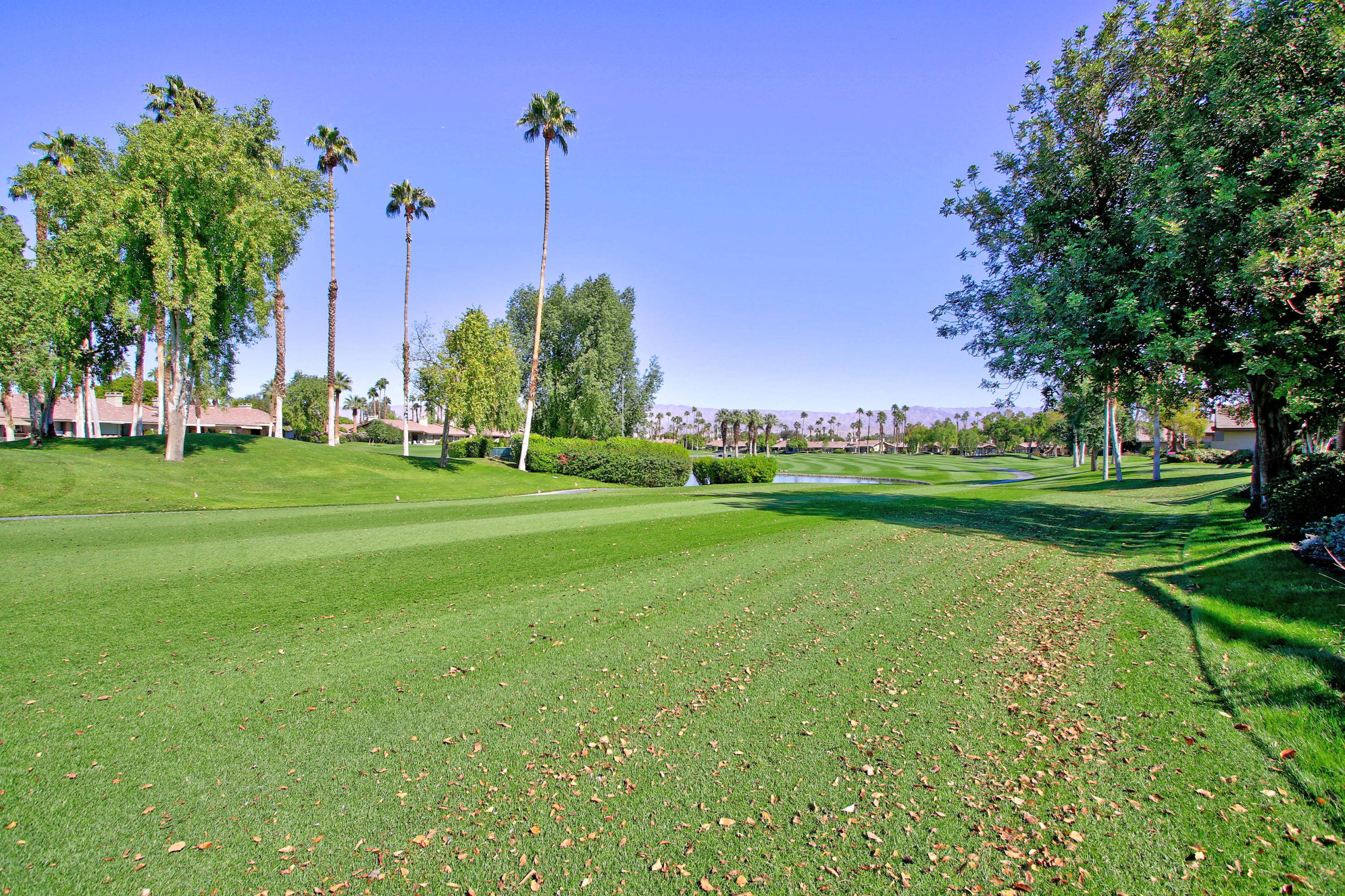 368 Red River Road Palm Desert, CA 92211 - Photo 33 of 36 a view of a park with large trees
