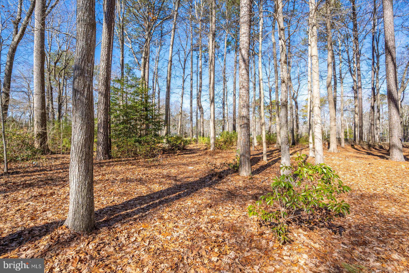 47 Drawbridge Road Ocean Pines, MD 21811 - Photo 51 of 75