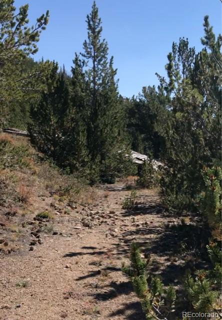Jm Brown Mine Idaho Springs, CO 80452 - Photo 2 of 11 a view of outdoor space and yard
