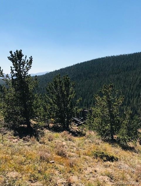 Jm Brown Mine Idaho Springs, CO 80452 - Photo 4 of 11 a view of outdoor space and yard
