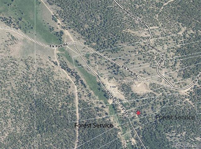 Jm Brown Mine Idaho Springs, CO 80452 - Photo 9 of 11 a close up of a plant in a yard