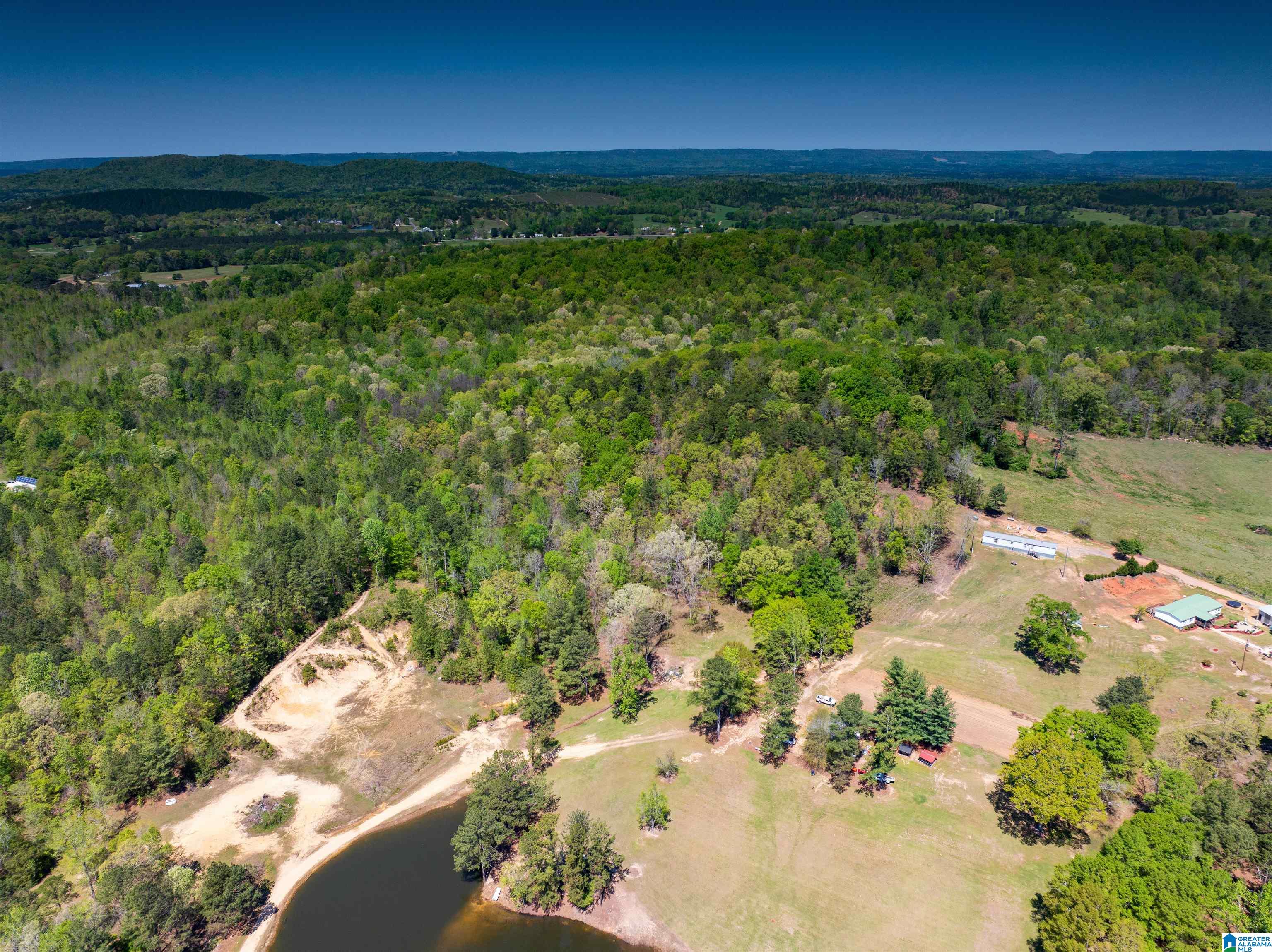 0 Pike Hill Road Ashville, AL 35953 - Photo 15 of 22