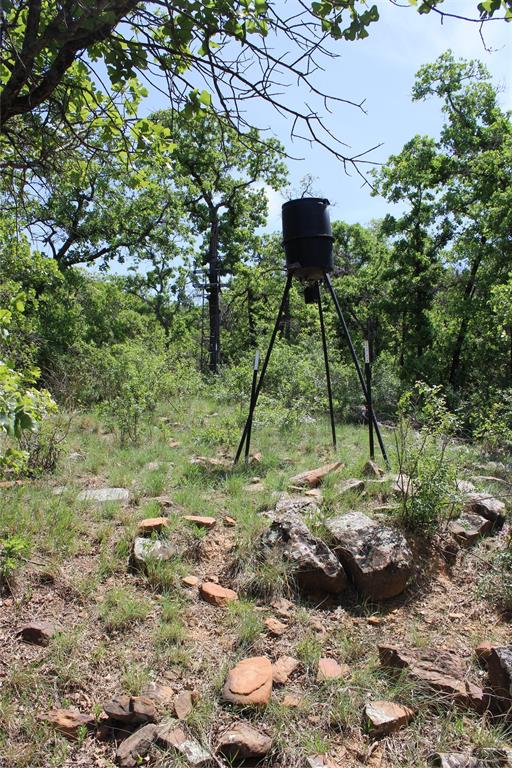 1650 County Road 119 Gordon, TX 76453 - Photo 10 of 15 a backyard of a house with table and chairs