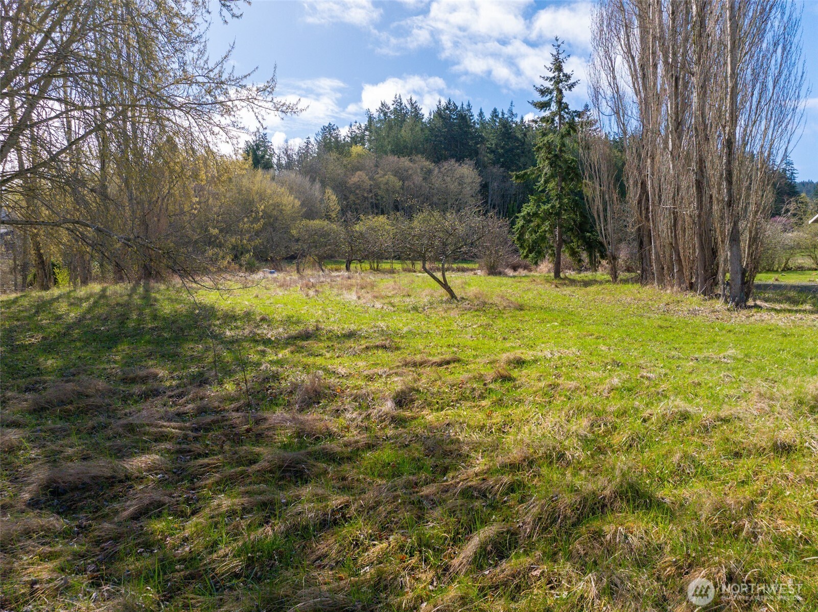 4011 Commercial Avenue Anacortes, WA 98221 - Photo 7 of 10 a view of an outdoor space and yard