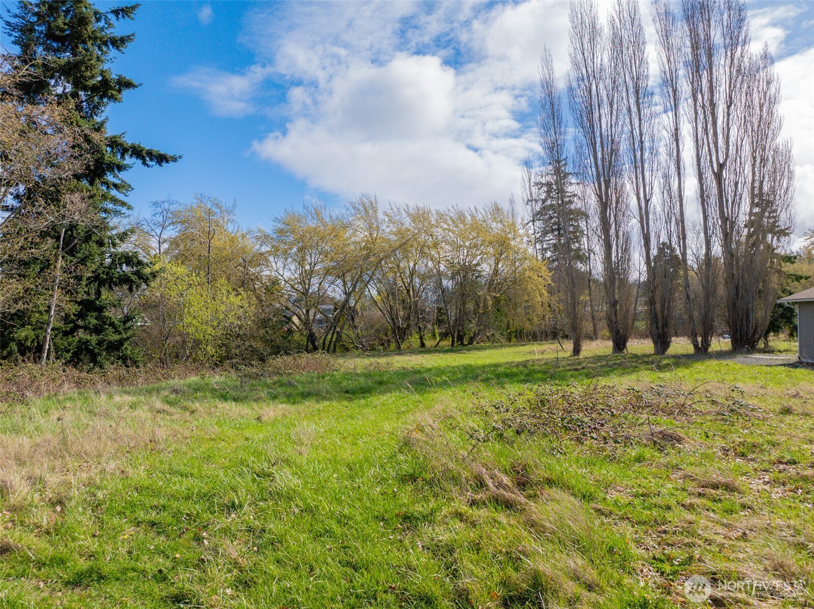 4011 Commercial Avenue Anacortes, WA 98221 - Photo 9 of 10 a view of a yard with a house