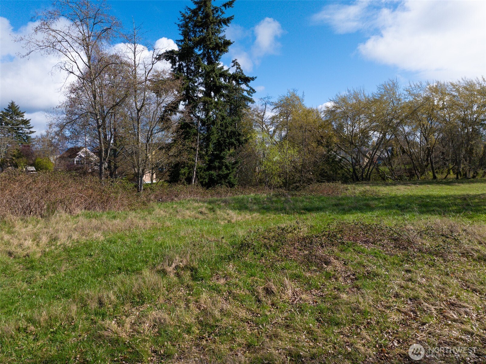 4011 Commercial Avenue Anacortes, WA 98221 - Photo 10 of 10 a view of outdoor space with trees all around