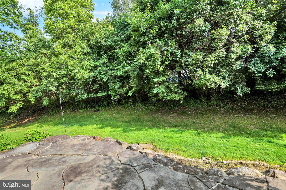 203 Barrington Drive Reading, PA 19607 - Photo 43 of 44 a view of a park with a tree in the background