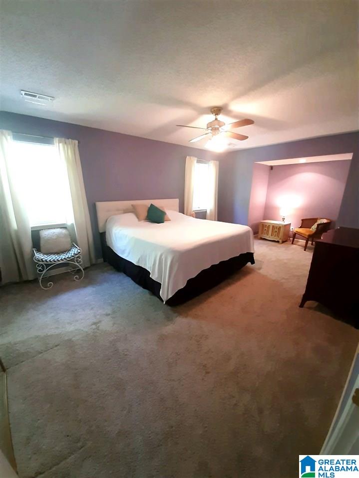 290 Hunter Ridge Lane Pell City, AL 35128 - Photo 23 of 34