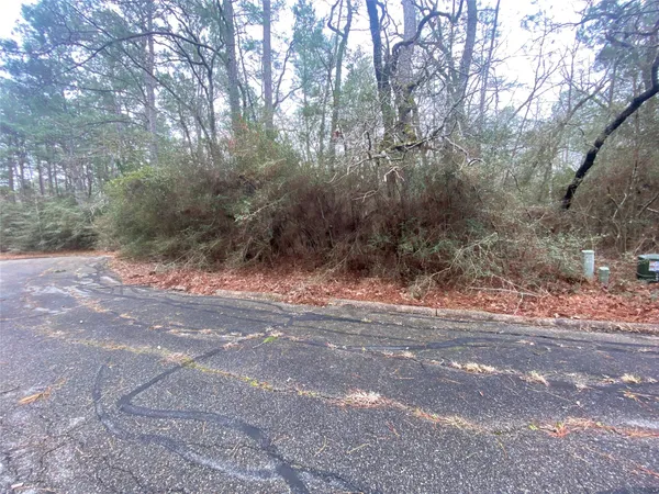 a view of a yard with large trees