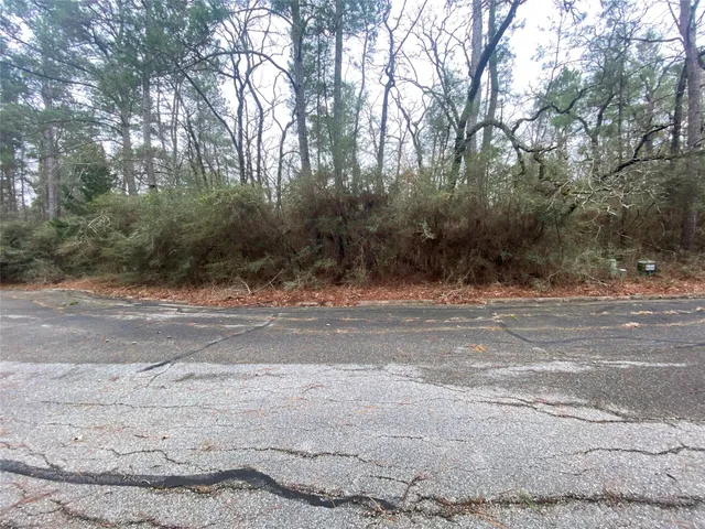 a view of a yard with large trees