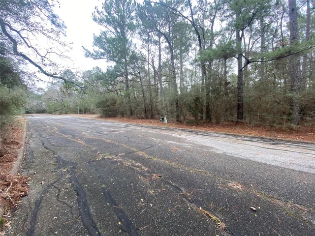 a view of dirt yard with large trees