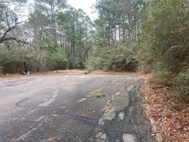 a view of outdoor space with trees