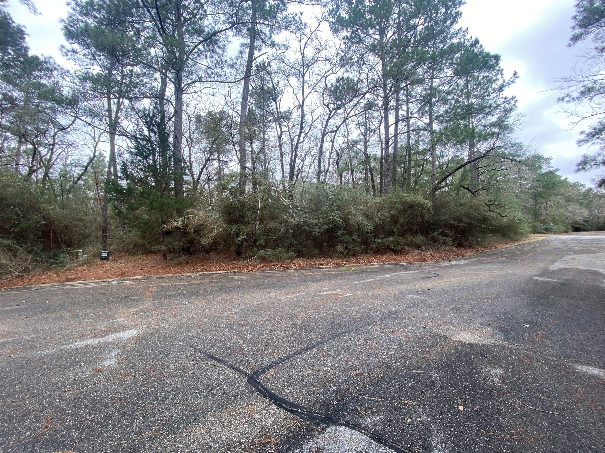 28605 Beechnut Court Oakhurst, TX 77359 - Photo 6 of 12 a view of a forest with trees
