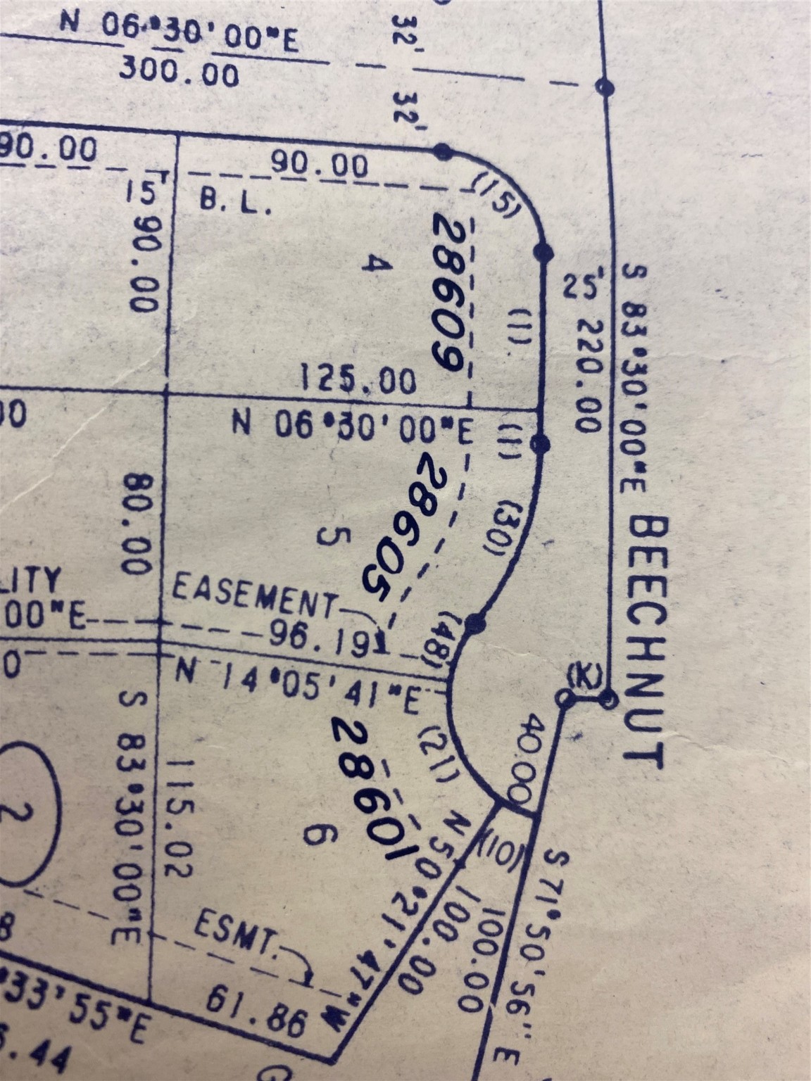 28605 Beechnut Court Oakhurst, TX 77359 - Photo 7 of 12