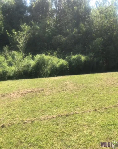 $39,900 | Tbd River Highlands Drive, St. Amant, LA 70774